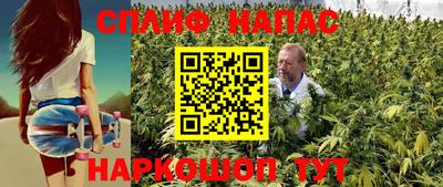 ПСИЛОЦИБИНОВЫЕ ГРИБЫ Ярославль