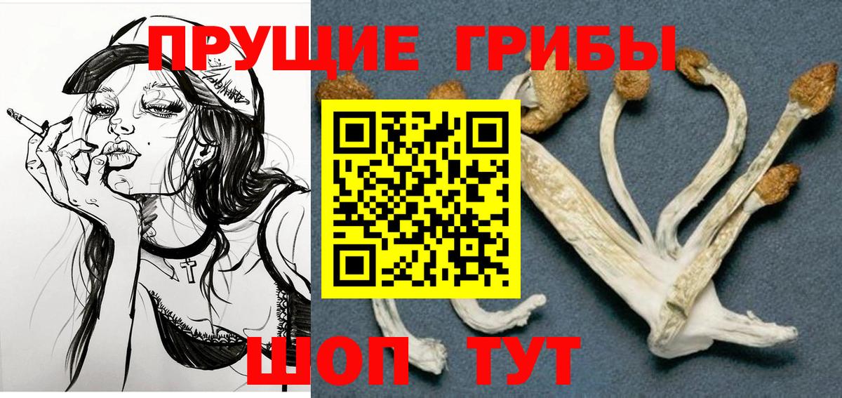 Галлюциногенные грибы прущие грибы  Псилоцибиновые грибы Psilocybine cubensis  Вход с VPN  Лысьва 